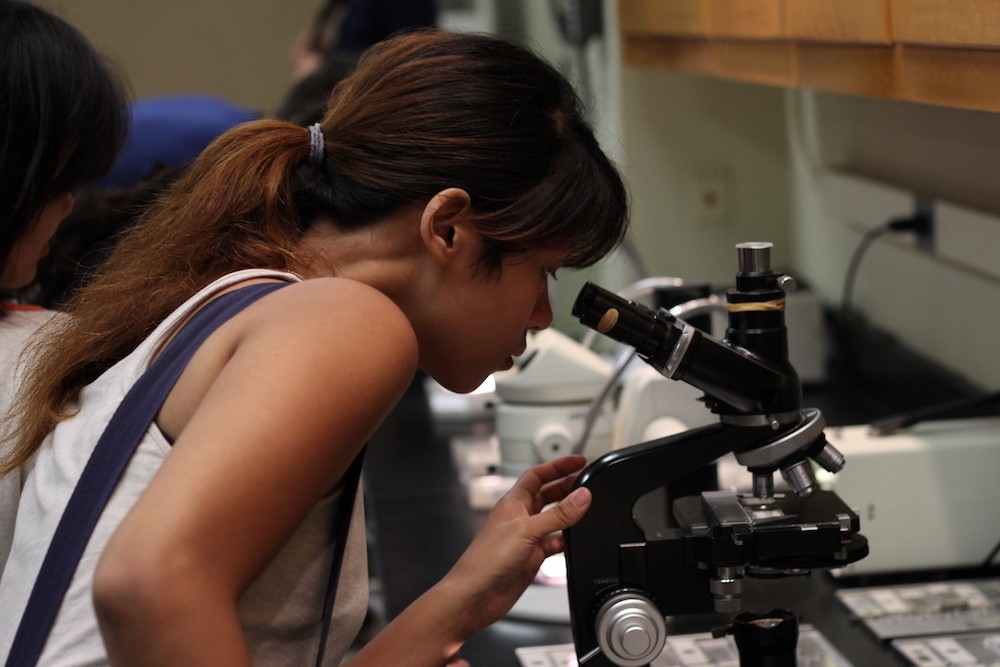 Students examine microfossils (shells of plankton) found in deep-sea sediments. A student looks at microfossils under a microscope
