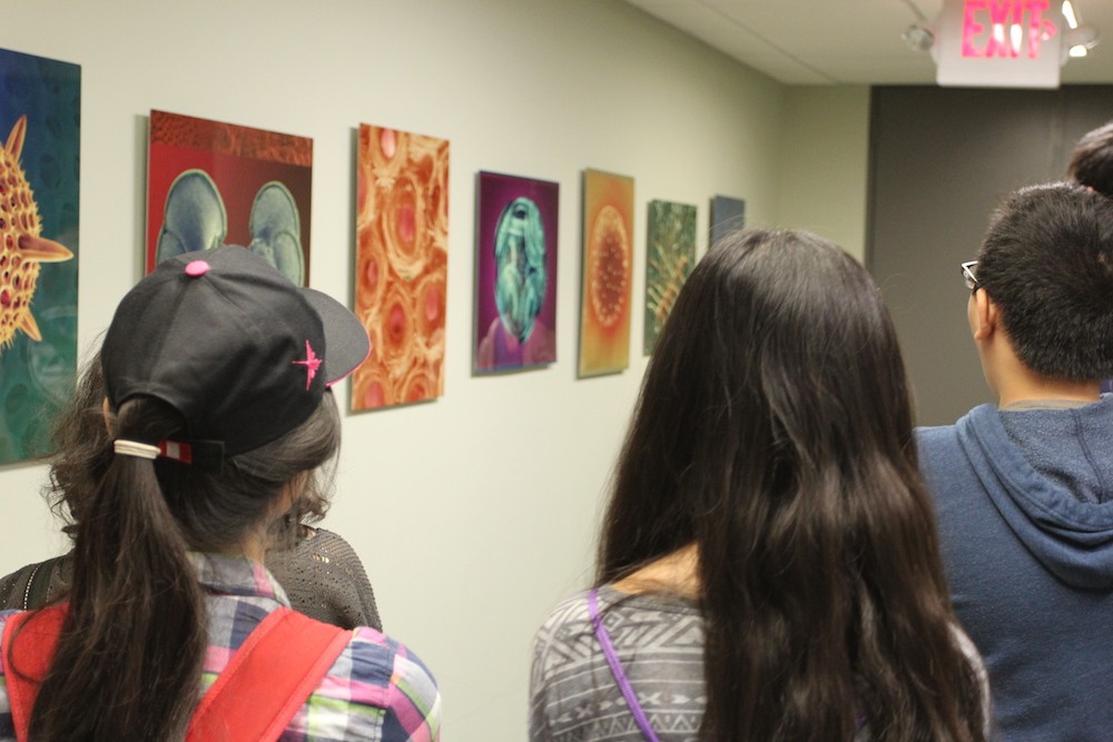 A beautiful display of microfossil images by Dee Breger in the Core Repository. Attendees look at microfossil images displayed on the wall