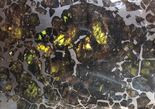 Closeup of a slice of meteorite. Made of pallasite and metal, this meteorite is believed to have come from the boundary between the core and mantle of a small planet. Photo: Phebe Pierson