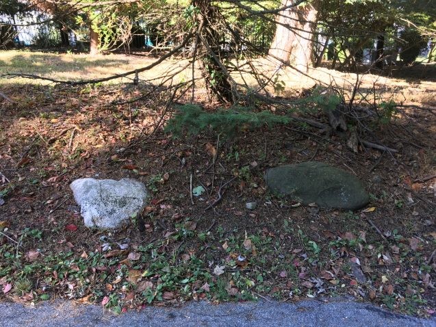 During the last ice age, about 18,000 years ago, New York was buried under a mile or so of ice. Lamont glacial geologist Mike Kaplan led a tour explaining how we can spot the traces left behind by the ice sheet as it retreated. One way is by looking for glacial erratics — rocks that don’t quite belong. Since the area around the campus is mostly made up of dark volcanic rocks, the white rock in this photo was likely carried into the area by the advancing ice sheet, and left behind as it retreated. Photo: Sar During the last ice age, about 18,000 years ago, New York was buried under a mile or so of ice. Lamont glacial geologist Mike Kaplan led a tour explaining how we can spot the traces left behind by the ice sheet as it retreated. One way is by looking for glacial erratics — rocks that don’t quite belong. Since the area around the campus is mostly made up of dark volcanic rocks, the white rock in this photo was likely carried into the area by the advancing ice sheet, and left behind as it retreated. Photo: Sar