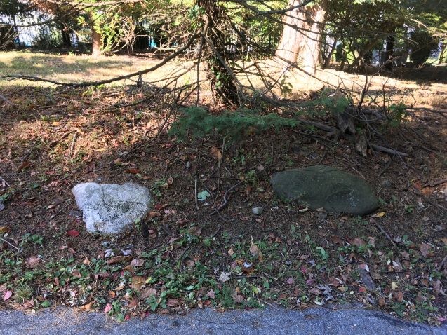 During the last ice age, about 18,000 years ago, New York was buried under a mile or so of ice. Lamont glacial geologist Mike Kaplan led a tour explaining how we can spot the traces left behind by the ice sheet as it retreated. One way is by looking for glacial erratics — rocks that don’t quite belong. Since the area around the campus is mostly made up of dark volcanic rocks, the white rock in this photo was likely carried into the area by the advancing ice sheet, and left behind as it retreated. Photo: Sar