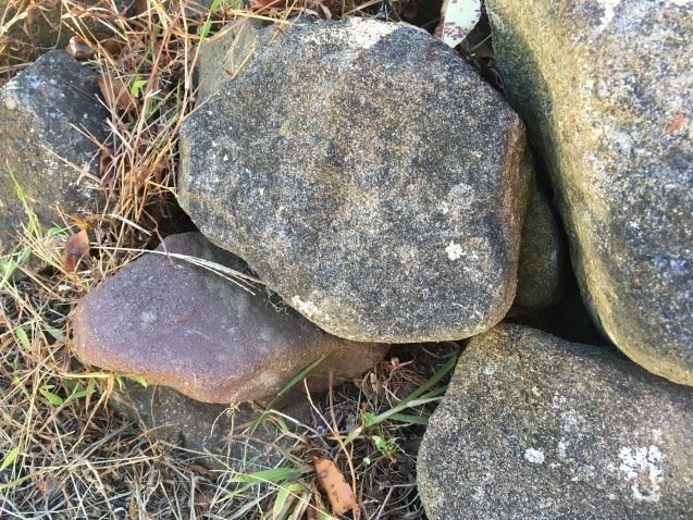 One of these rocks is not like the others. Can you spot the glacial erratic? Photo: Sarah Fecht