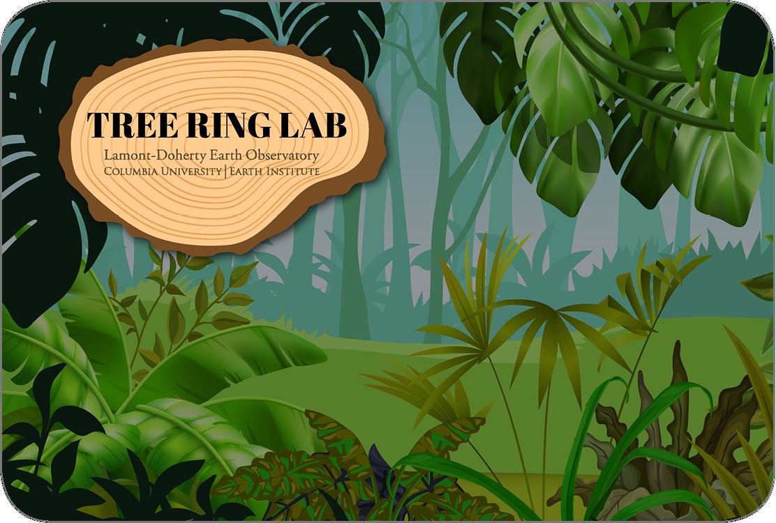 tree ring lab forest screenshot from game