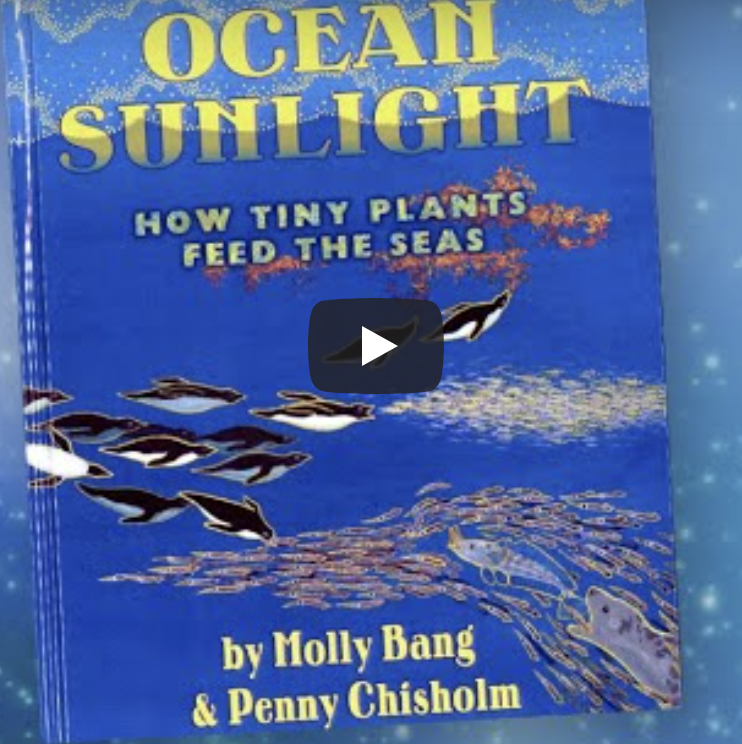 screenshot of ocean sunlight book 