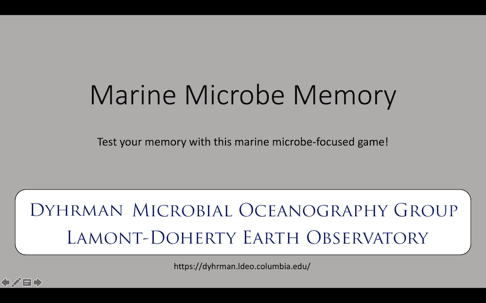 Marine Microbe Memory: Test your memory with this marine microbe-focused game!