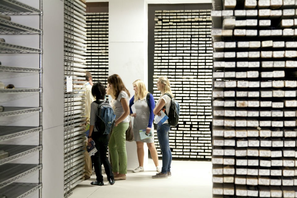visitors check out trays of sediment cores in the lab