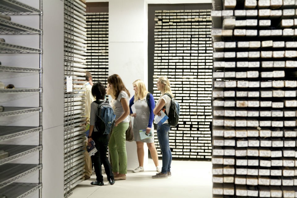In tray after tray, some 20,000 sediment cores from every sea and ocean on earth fill the Lamont-Doherty Core Repository. Photo by Wade Martzall. people observe trays of sediment cores in the core repository