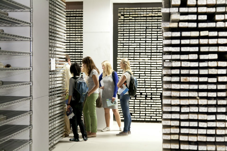 people observe trays of sediment cores in the core repository