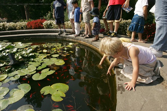 children playing in the lily pond