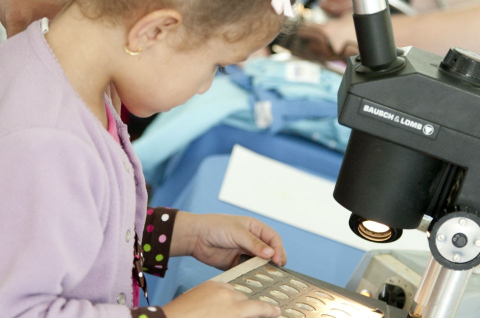 The remains of tiny fossil plants from land and sea can be viewed under microscopes. Photo by Wade Martzall. Child looking at microscope slides