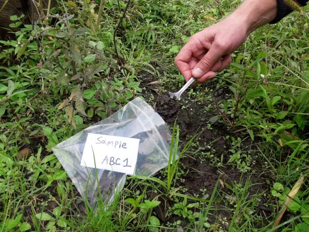 testing soil for lead
